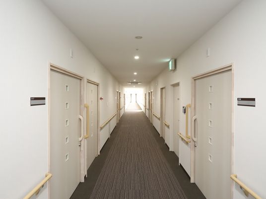 白壁の明るく洗練された雰囲気の廊下である。両側の壁には手すりがしっかりと固定されており、床には柔らかいカーペットが敷かれている。