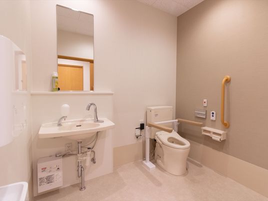 広いトイレがある。壁の一部が濃いベージュになっていて、ほかの部分は白い。洗面台と鏡が設置されている。壁には手すりがついている。