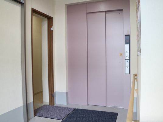 エレベーターが１基設置されており、近くの壁には手すりや行先ボタンが取り付けられている。床には、マットが敷かれている。