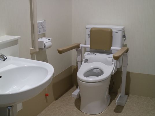 洗面台が備え付けられているトイレで、壁にはナースコールや手すりがある。便座には、背もたれやひじ掛けが備え付けられている。