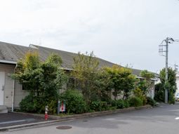 緑で囲まれた建物の外観