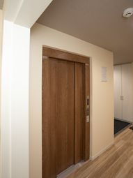 清潔な廊下とエレベーター