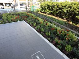 緑豊かな施設の中庭