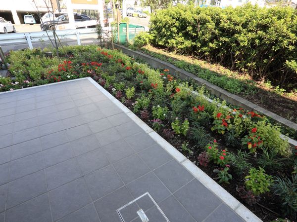緑豊かな施設の中庭