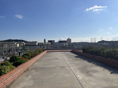 花々に囲まれた屋上