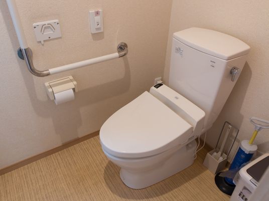 手すり付きの清潔なトイレ