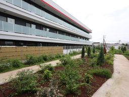 多階建て建物と緑の庭