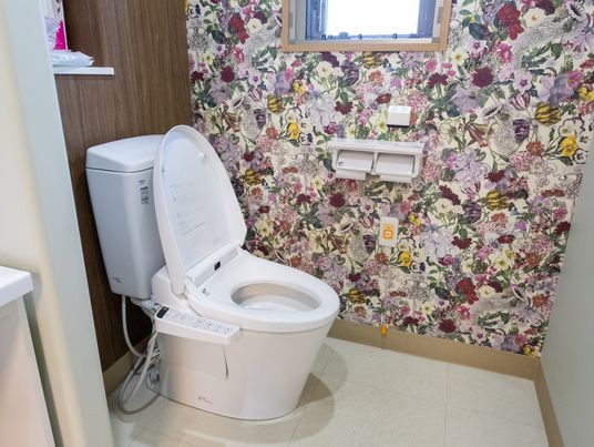 清潔なトイレの様子