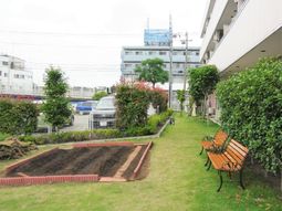 緑豊かな庭の景観