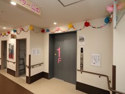 廊下の柔らかな装飾