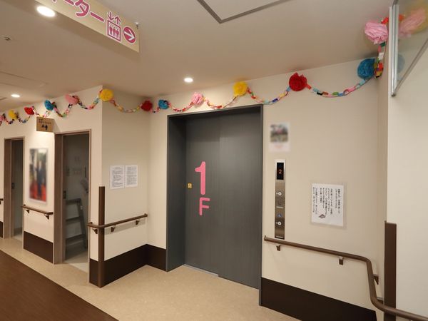廊下の柔らかな装飾