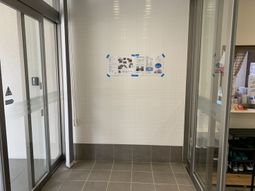 掲示物
