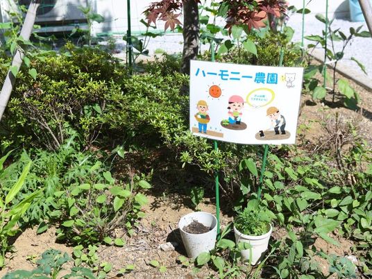 菜園の案内看板  