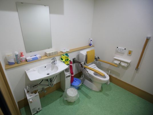 手入れが行き届いた洗面所