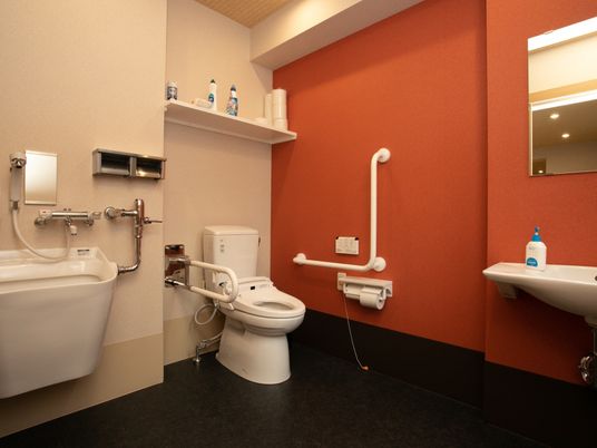 サポート充実の洗面所