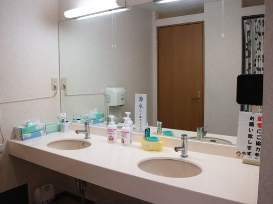 整備された洗面所