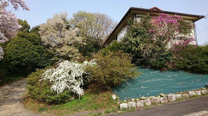 四季折々の自然が楽しめる庭