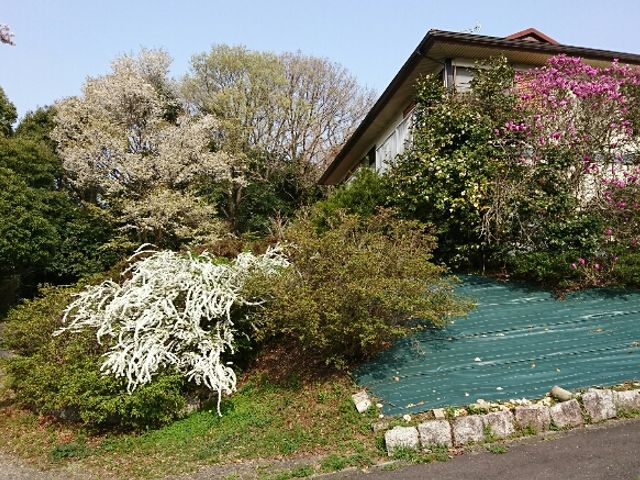 四季折々の自然が楽しめる庭 庭 豊かな自然に囲まれた敷地は、四季折々の風景を満喫できる環境です。リラックスした時間を過ごせます。