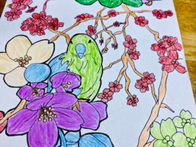 色鮮やかな手描き作品 掲示物 色とりどりの花が描かれた手作りポスターが飾られています。温かみを感じさせる作品です。