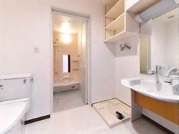 清潔な洗面台と浴室