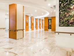 広々廊下と植物壁装飾