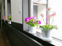 廊下に花が並ぶ光景