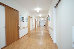 明るい廊下の景観