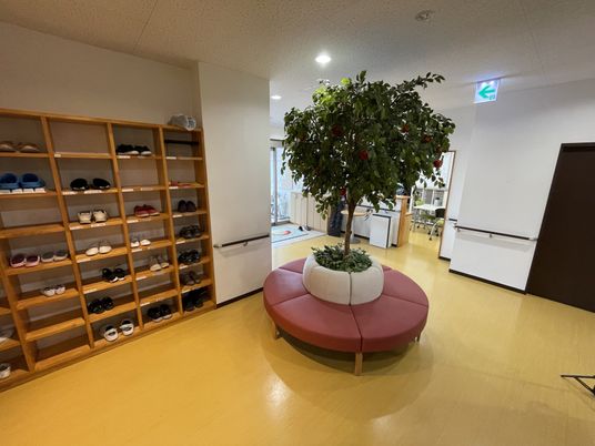 履物が整理されたエントランス