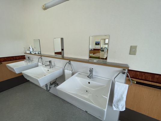 清潔な洗面台の一角