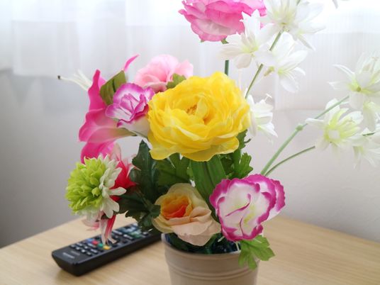 居室に飾られた花