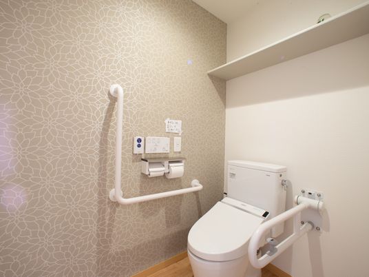 安全なトイレの手すり