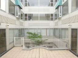 明るい中庭の風景