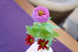 花と緑のある空間