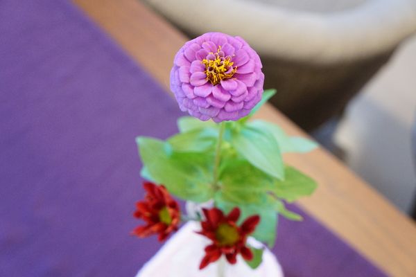 花と緑のある空間