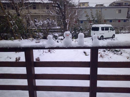 雪景色の庭先