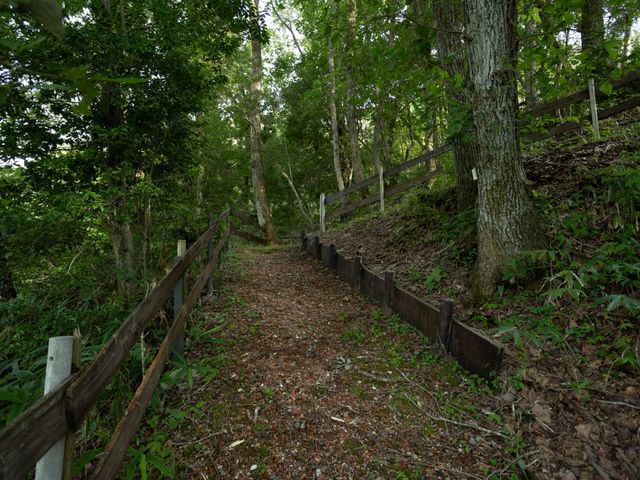 木立の散策路 中庭   木々に囲まれた散策路が続いています。自然を感じながら、ゆったり歩ける環境があるようです。