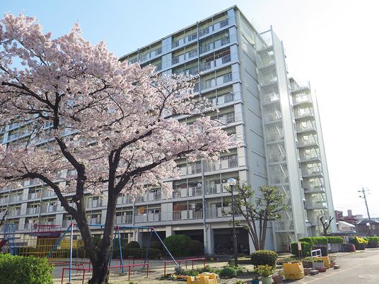 桜並木と建物の外観