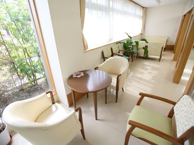 日差しのあたる落ち着いた休憩室
