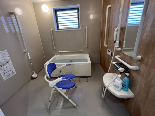 手すり付き清潔な浴室