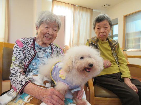 スマイルケアの現場