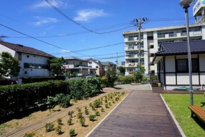 景色が楽しめる庭