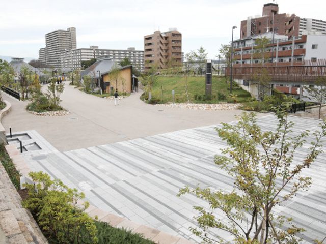 広々とした明るい中庭 周辺環境 ゆったりとしたスペースが特徴的な中庭。自然を感じながらリフレッシュできる場所です。