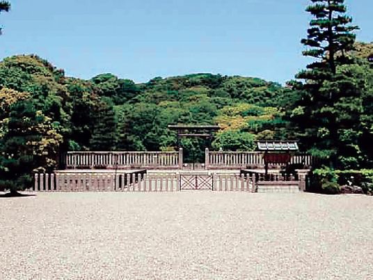 緑豊かな中庭