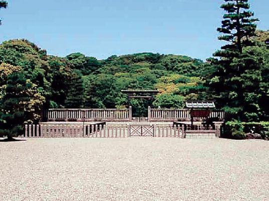 緑豊かな中庭