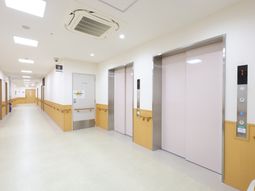 清潔な廊下とエレベーター