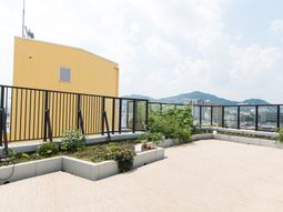屋上の緑豊かな空間