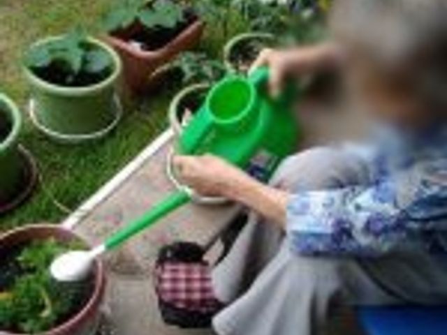 庭での作業 庭 落ち着いた雰囲気の庭で、植物への水やりを行っています。リラックスして働くことができます。