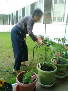 植物を育てる場所  