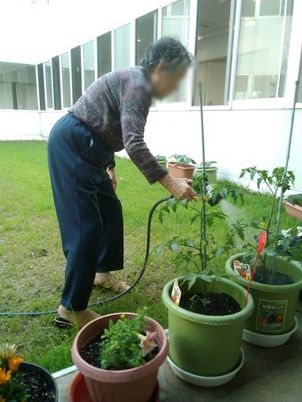 植物を育てる場所  