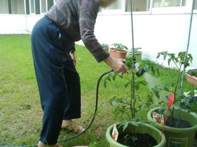 植物を育てる場所 中庭   自然光が差し込む場所で、入居者の方が植物の手入れを楽しんでいます。